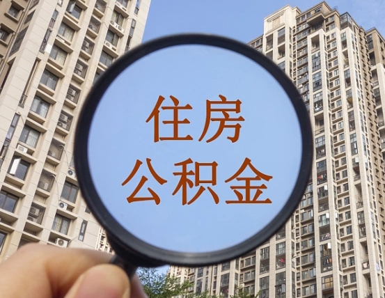 攸县退休后查不到公积金明细了吗（退休后公积金查询不到原因）